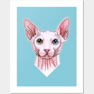 Sphynx cat portrait Posters and Art